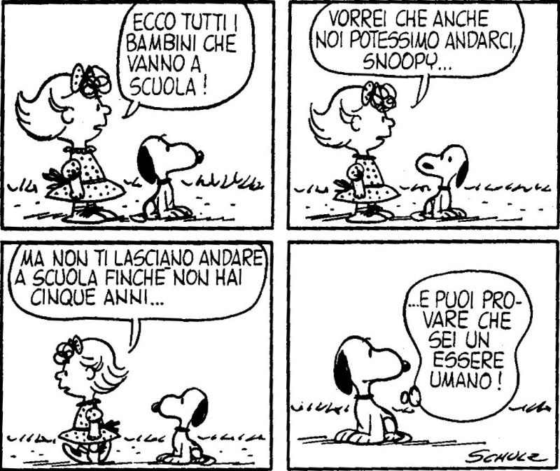 Vignette I Peanuts