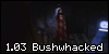 1.03 Bushwhacked