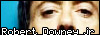 Robert Downey junior