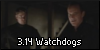 3.14 Watchdogs