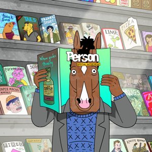 BoJack Horseman, stagioni 1-4