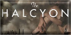 The Halcyon