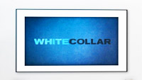 White Collar, stagione 3